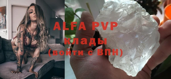 гидра Арсеньев