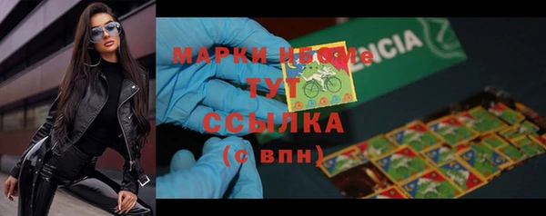 PSILOCYBIN Аркадак