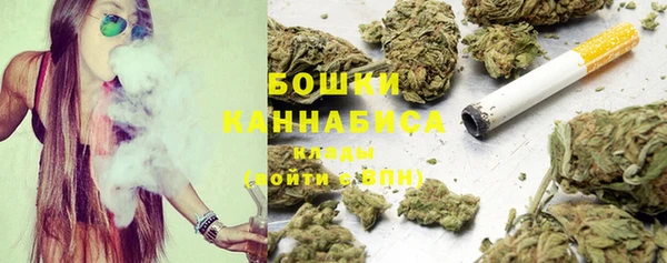 круглые Пересвет