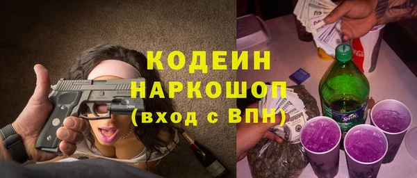 гидра Арсеньев