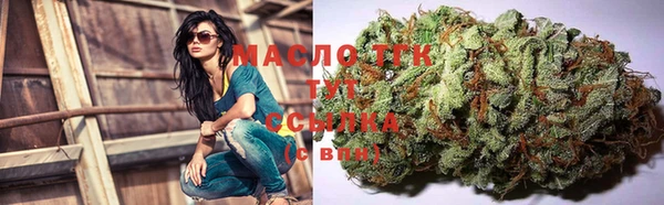 круглые Пересвет