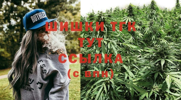 гидра Арсеньев