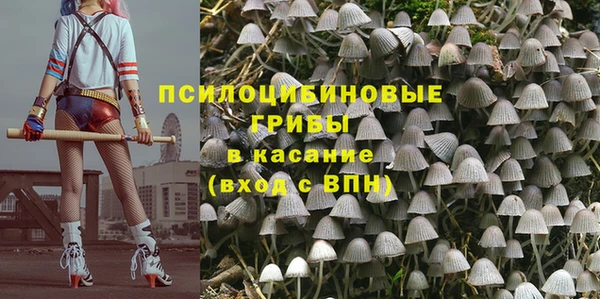 метадон Армянск