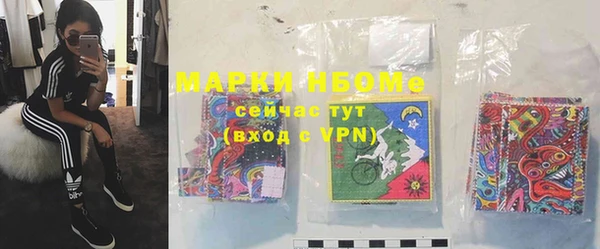 PSILOCYBIN Аркадак